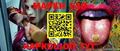 ALPHA PVP Гатчина
