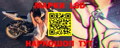 ALPHA PVP Гатчина