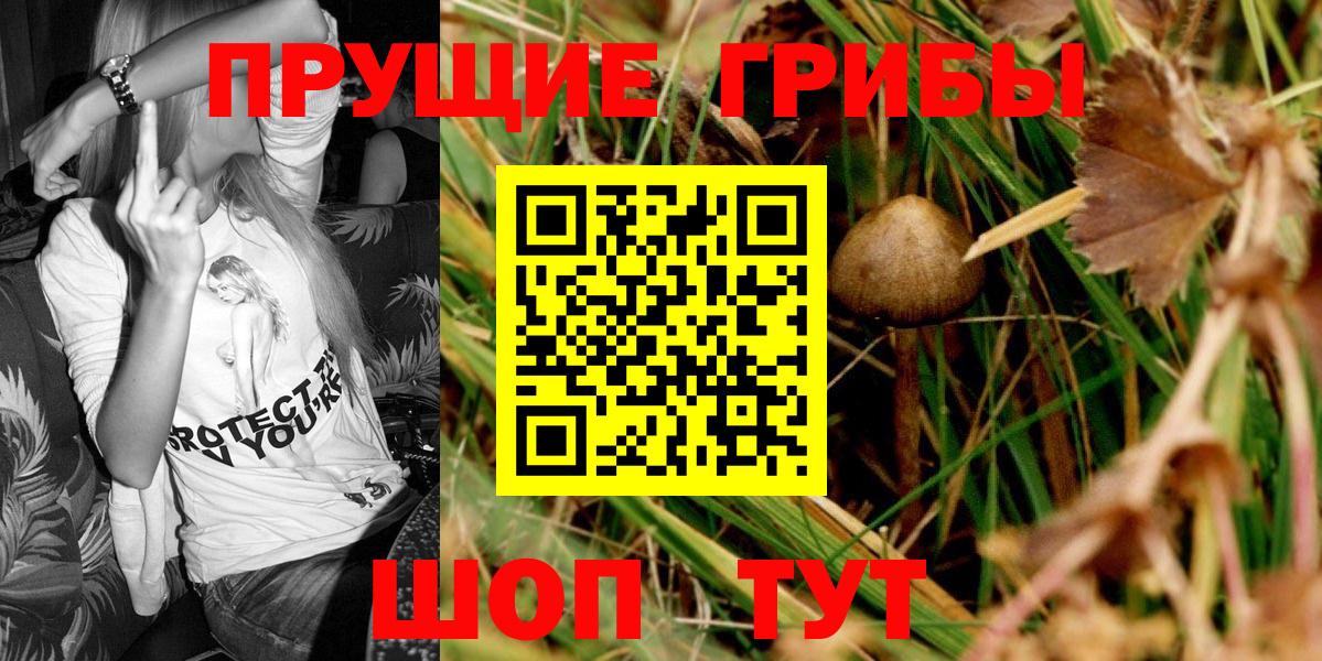 Галлюциногенные грибы прущие грибы  Вход с VPN  Стерлитамак 